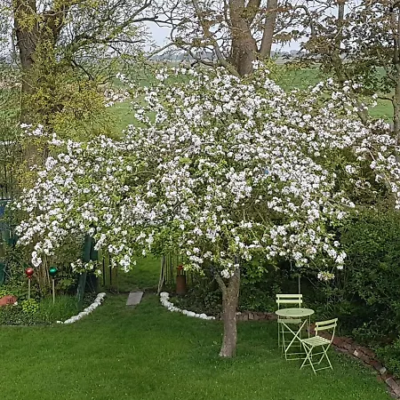 アパート Birkenhof ノイハルリンガージール